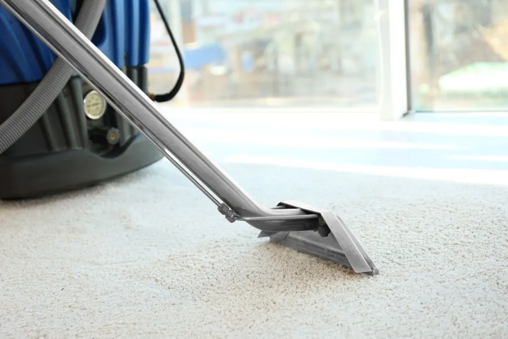 carpet cleaning near Natick