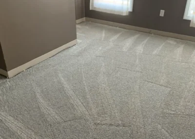 carpet cleaning